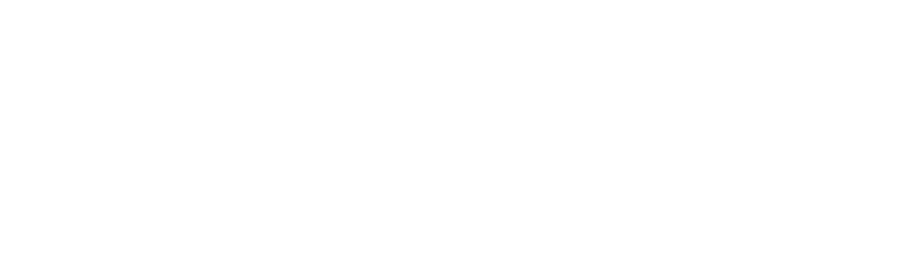 Dissing Wathces Logo