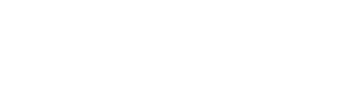 Hvidt DitUr Logo